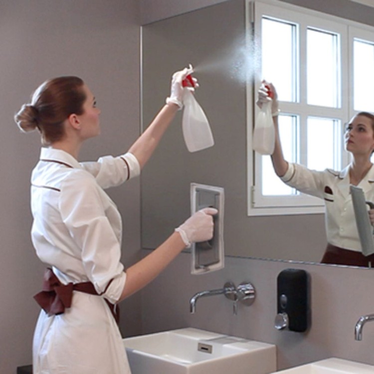 packa-reczna-do-mycia-szyb-okien-luster-brillant-filmop-30 (3).jpg